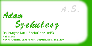 adam szekulesz business card