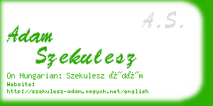 adam szekulesz business card